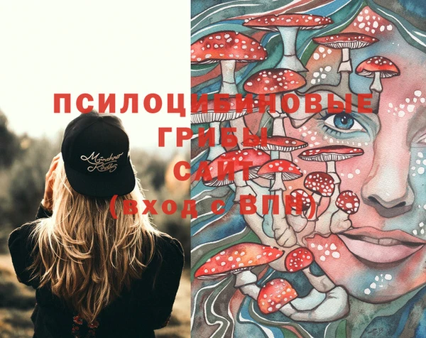 твердый Абинск