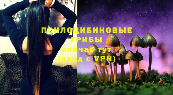 амф Абдулино